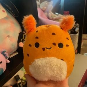 squishmallow tensing